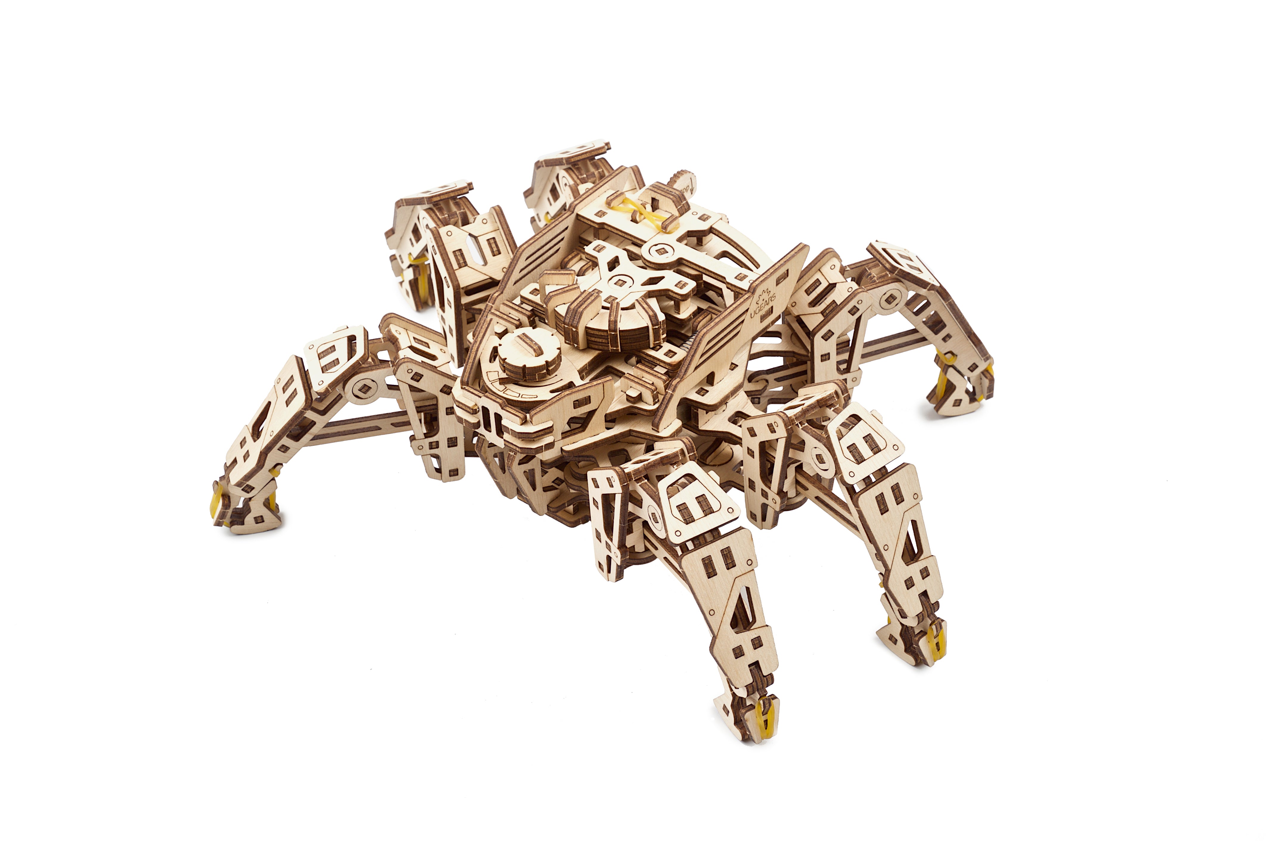 Hexapod Explorer - Insektenroboter