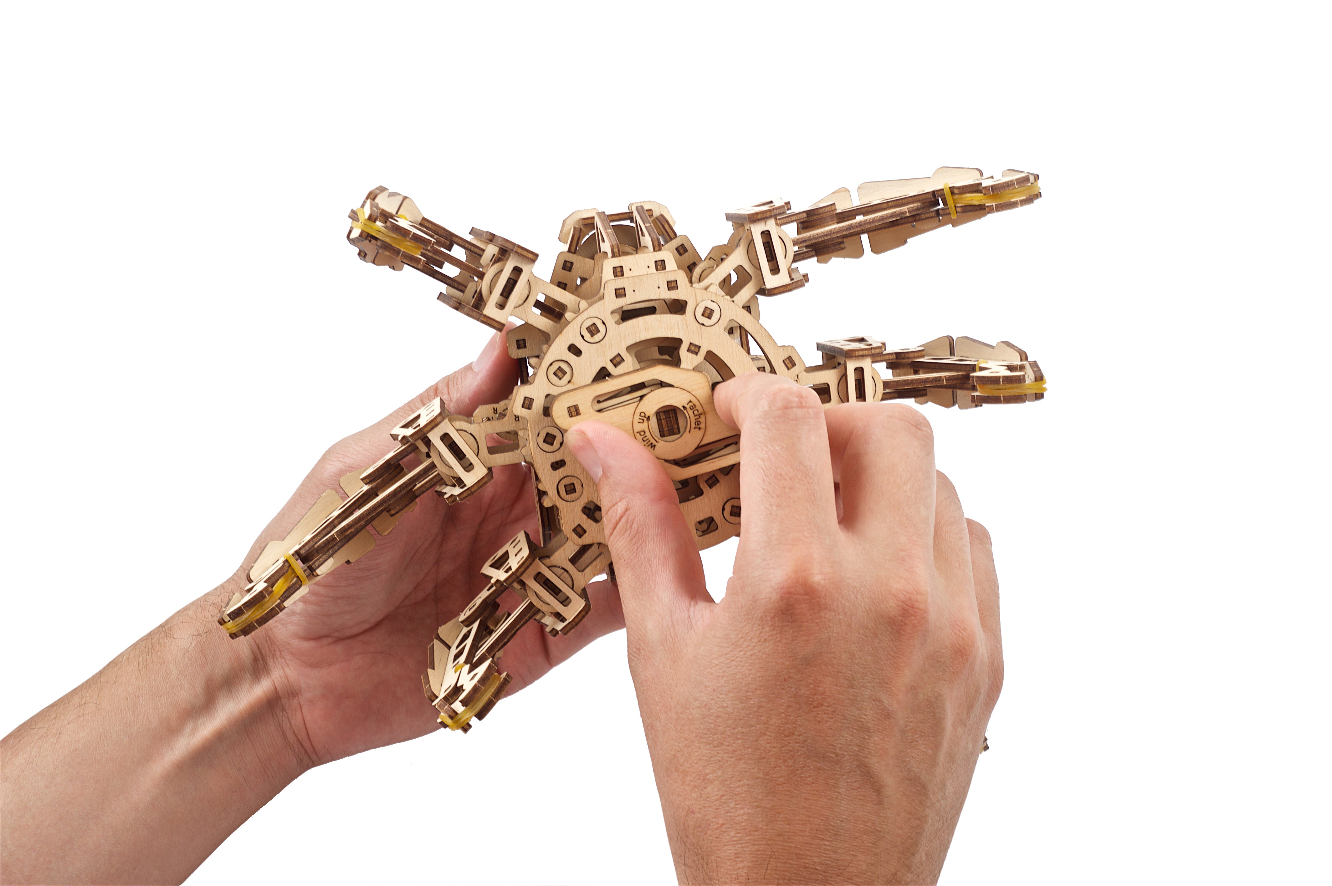 Hexapod Explorer - Insektenroboter